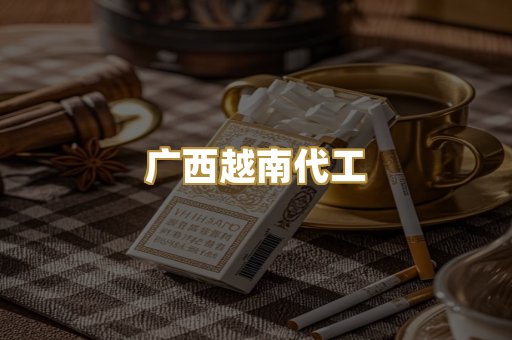 广西越南代工